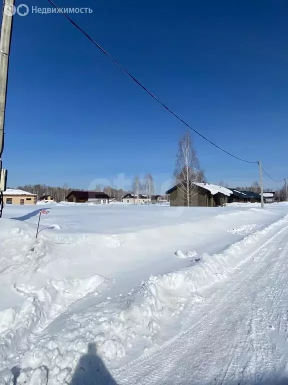 Участок в Станционный сельсовет, ТСН Облепиха (10 м) - Фото 2