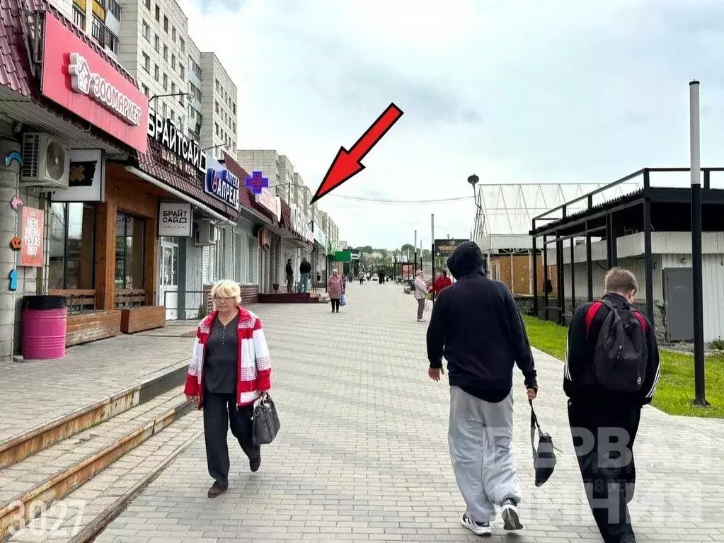 Помещение свободного назначения в Челябинская область, Златоуст просп. ... - Фото 1