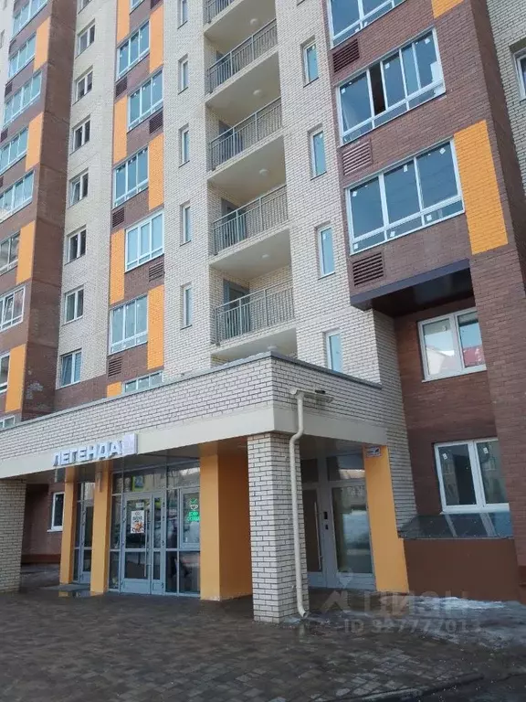 Студия Московская область, Щелково ул. Механизаторов, 1А (20.0 м) - Фото 1