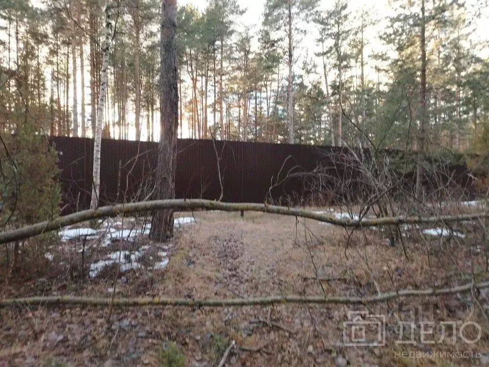 Участок в Рязанская область, Рязанский район, Дубровическое с/пос, с. ... - Фото 0