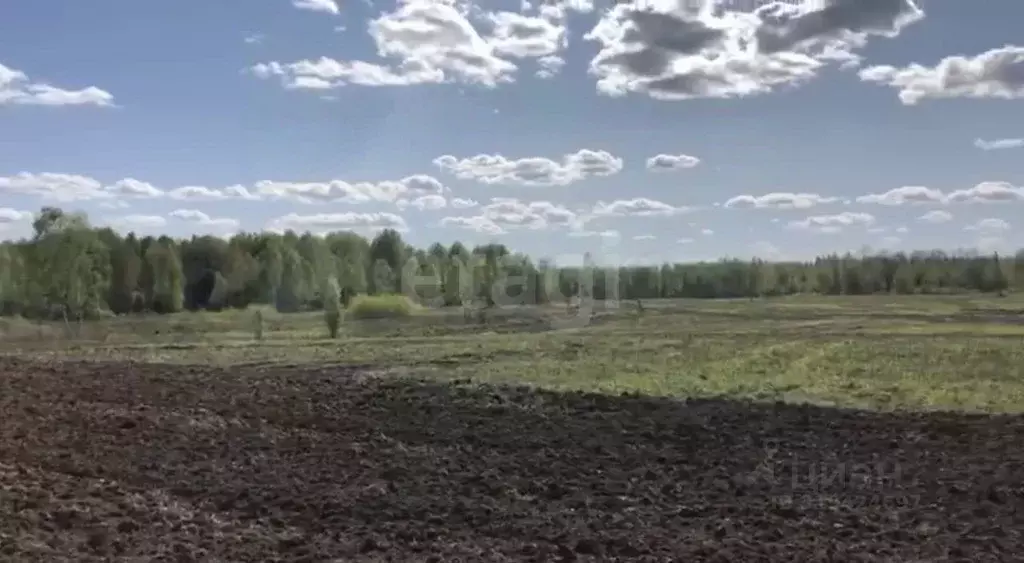 Участок в Брянская область, Почепский район, Дмитровское с/пос, пос. ... - Фото 1