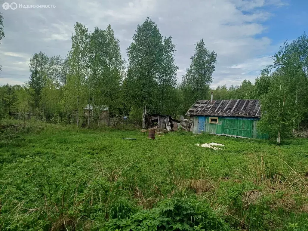 Участок в Архангельская область, Приморский муниципальный округ, СНТ ... - Фото 1