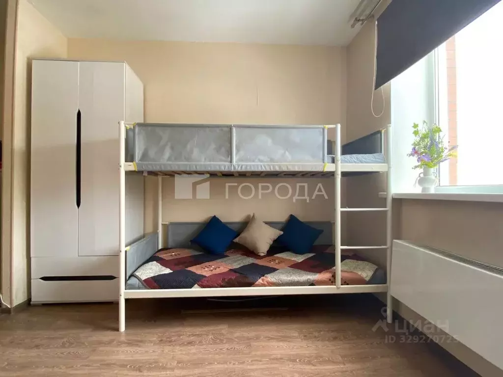 Студия Новосибирская область, Новосибирский район, с. Криводановка, ... - Фото 1