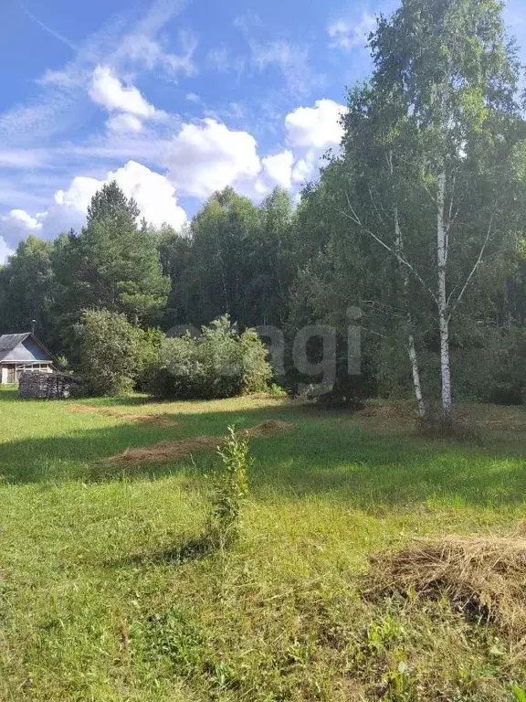 Участок в Тюменская область, Нижнетавдинский муниципальный округ, ... - Фото 1