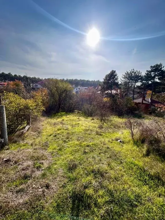 Участок в Крым, Симферопольский район, Добровское с/пос, Сосновый Бор ... - Фото 1