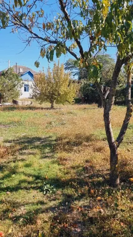 Участок в Краснодарский край, Новороссийск городской округ, Раевская ... - Фото 1