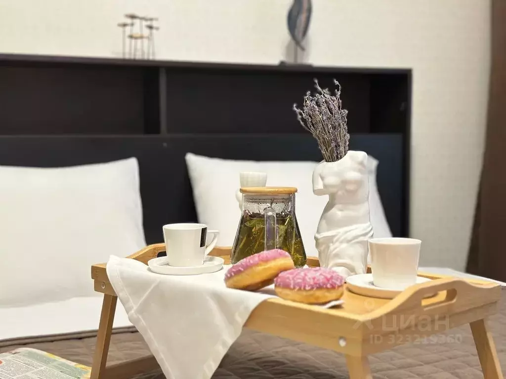 1-к кв. Мордовия, Саранск ул. Короленко, 1 (29.0 м) - Фото 1