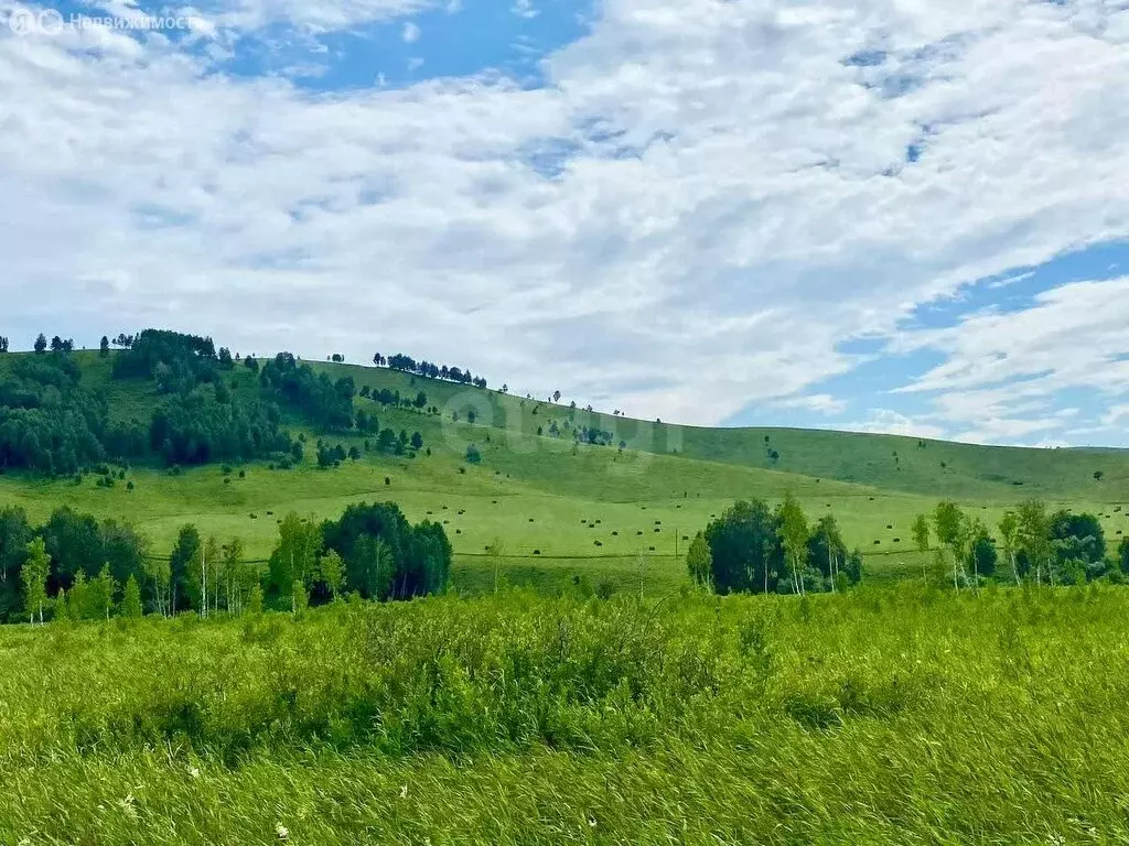 Участок в Алтайский район, ДНТ Жемчужина Алтая (10.7 м) - Фото 0