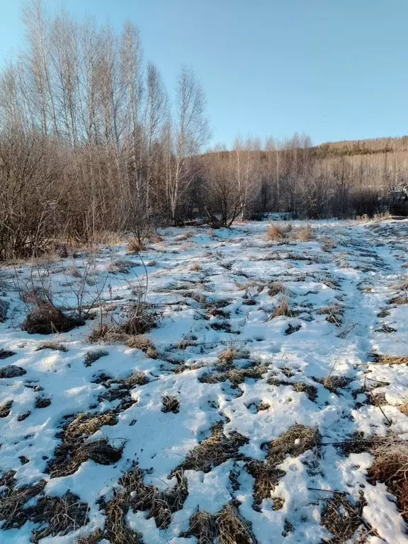 Участок 12 сот. (ИЖС) - Фото 0