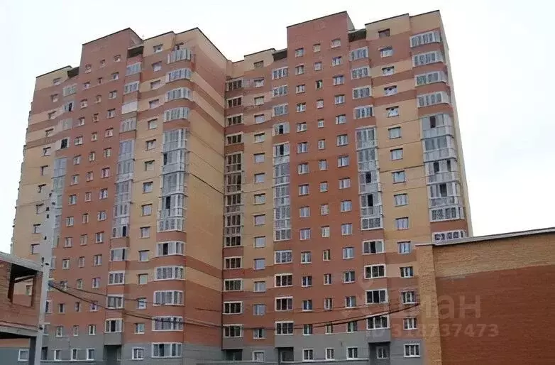 1-к кв. Алтайский край, Барнаул Балтийская ул., 25 (33.4 м) - Фото 1