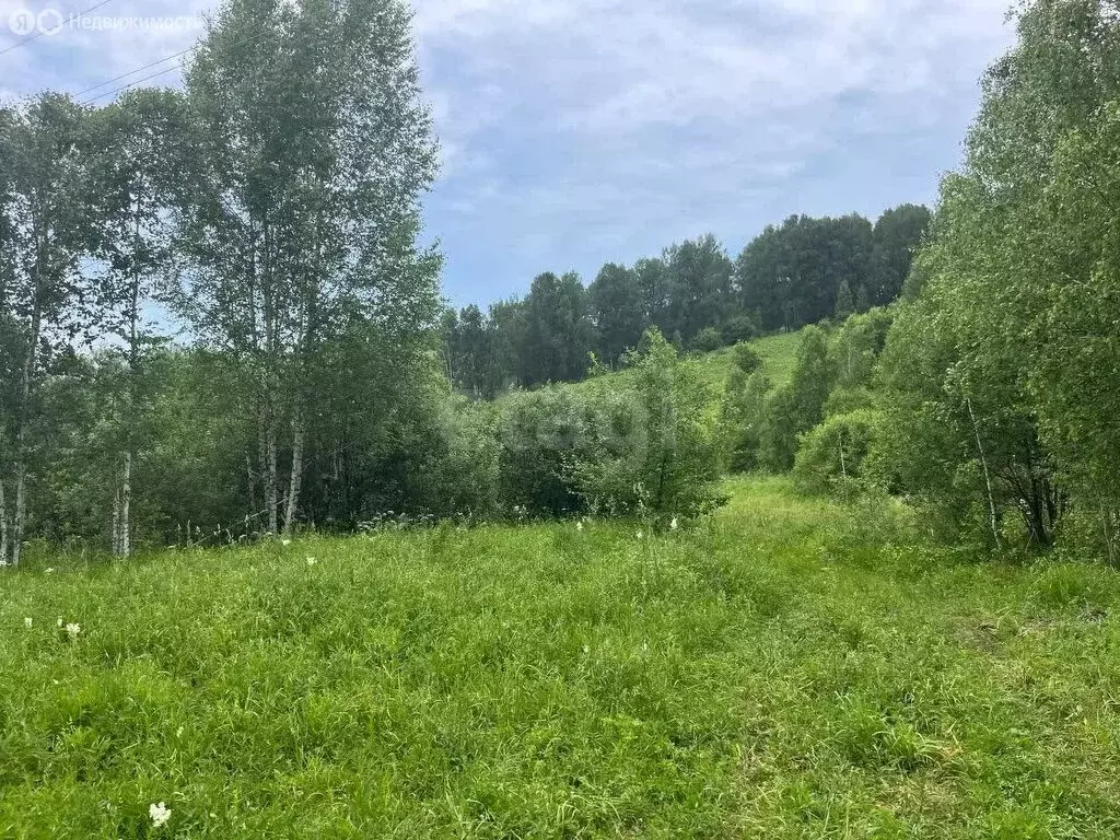 Участок в Майминский район, село Кызыл-Озек (13.85 м) - Фото 0