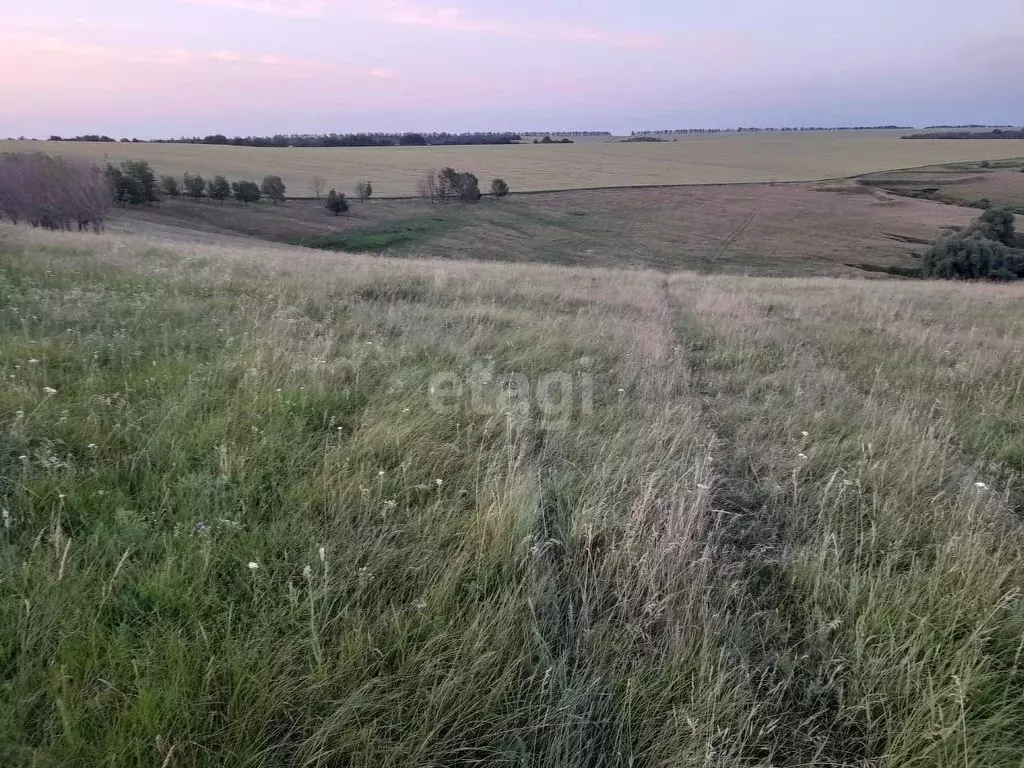 Участок в Белгородская область, Вейделевский район, Малакеевское ... - Фото 0