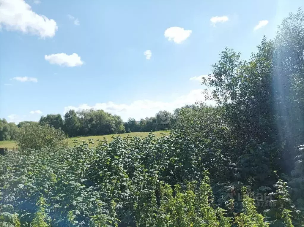 Участок в Мордовия, Дубенский район, с. Петровка  (42.0 сот.) - Фото 0