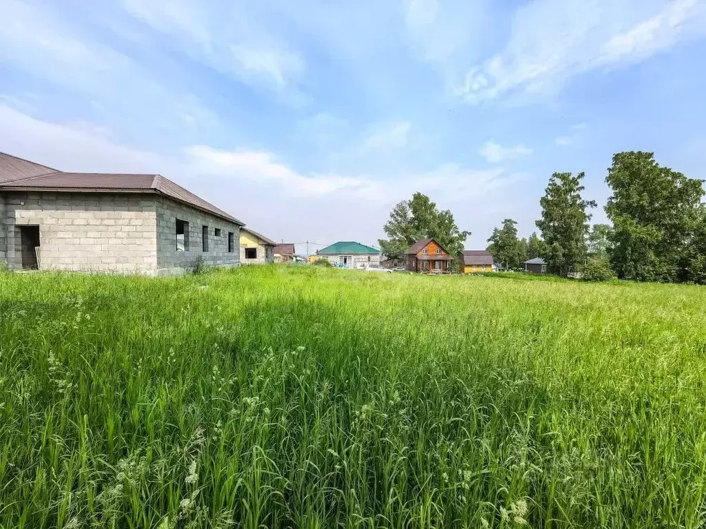 Участок в Новосибирская область, Новосибирский район, Каменский ... - Фото 0