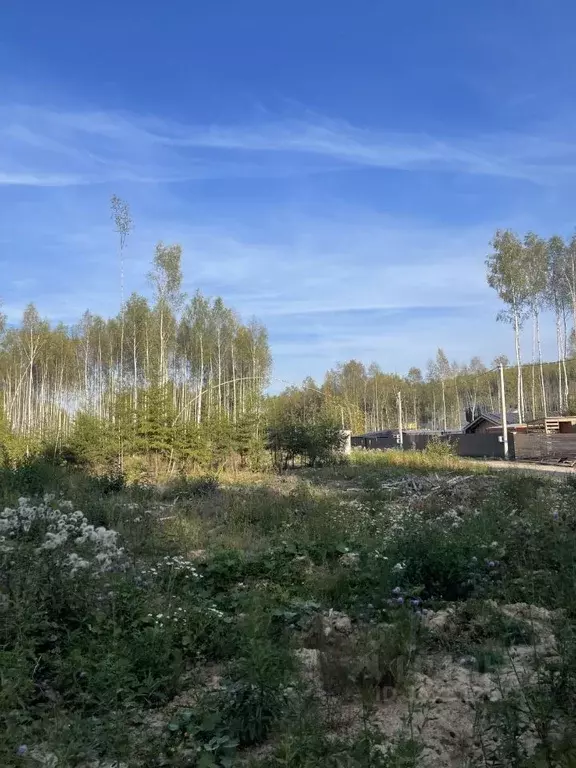 Участок в Московская область, Сергиево-Посадский городской округ, ... - Фото 0