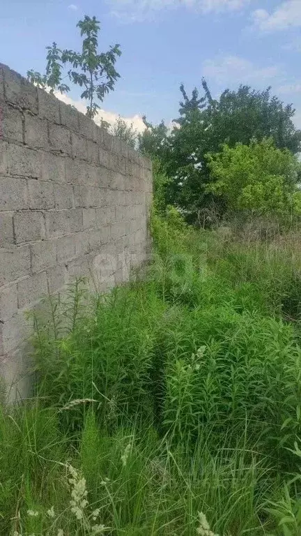 Участок в Брянская область, Брянский район, Мичуринское с/пос, Заря ... - Фото 2