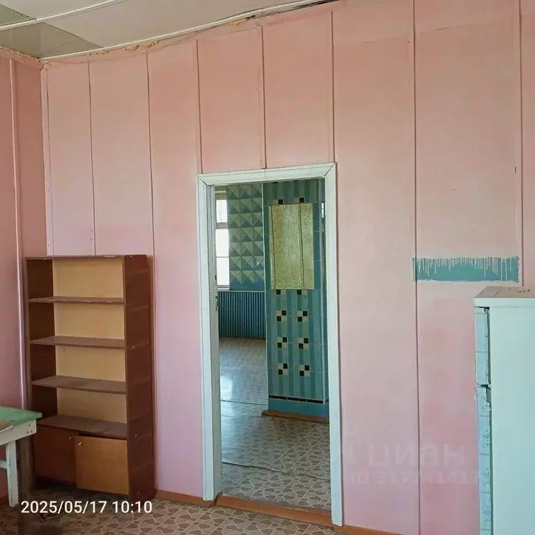 Помещение свободного назначения в Оренбургская область, Оренбург с. ... - Фото 1