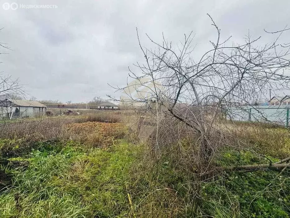 Участок в село Обуховка (28 м) - Фото 2