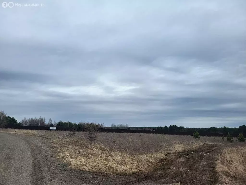 Участок в Суздальский район, муниципальное образование Павловское, ... - Фото 0