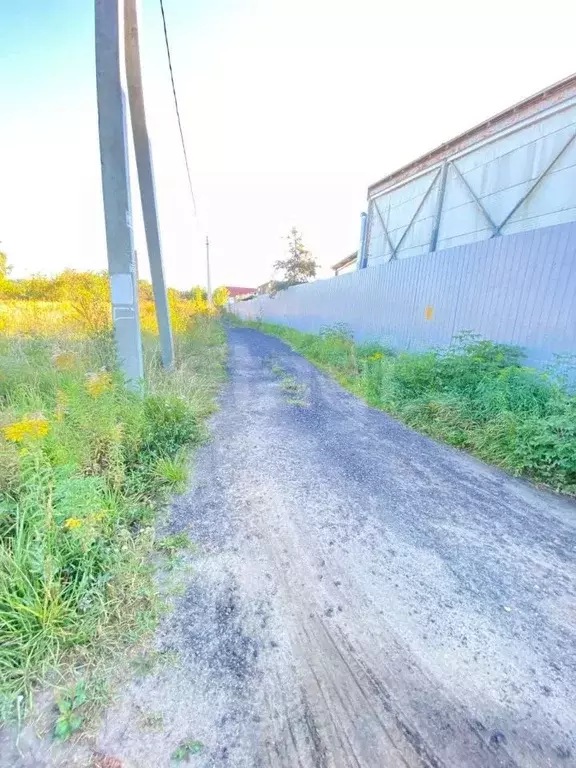 Участок в Брянская область, Брянский район, Снежское с/пос, с. ... - Фото 1