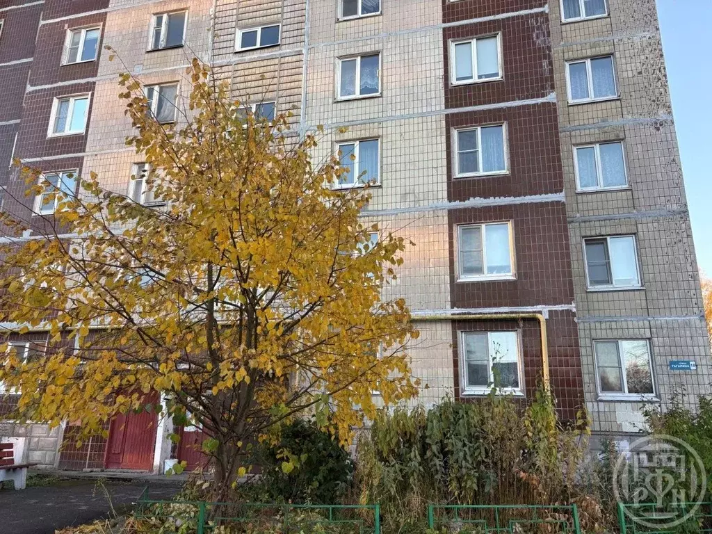 2-к кв. Ленинградская область, Отрадное Кировский район, ул. Гагарина, ... - Фото 1