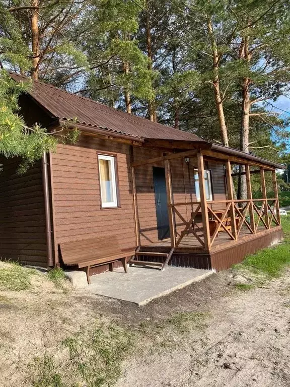 Дом в Брянская область, Брянский район, Новодарковичское с/пос, пос. ... - Фото 2