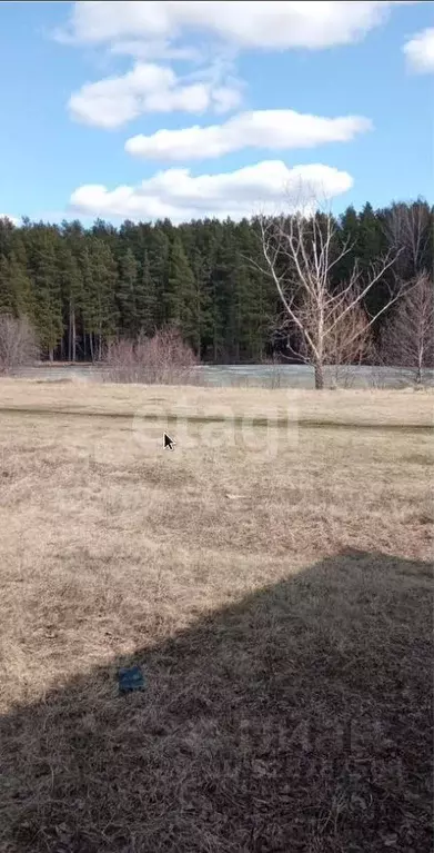 Участок в Свердловская область, Талицкий муниципальный округ, пос. ... - Фото 2