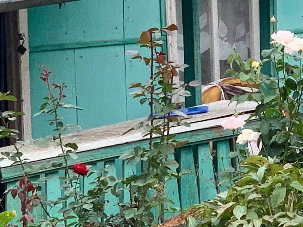 Дом в Хабаровский край, Хабаровский район, Мичуринское с/пос, Азимут ... - Фото 2