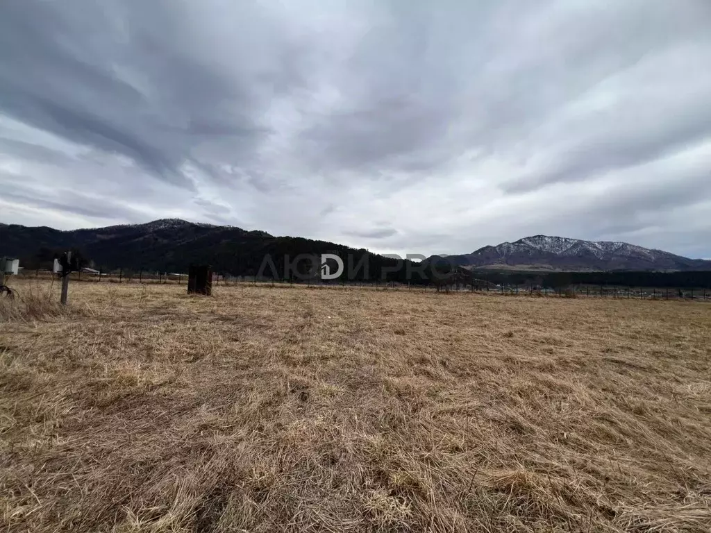 Участок в Алтай, Чемальский район, Радуга Жизни СНТ  (13.0 сот.) - Фото 1