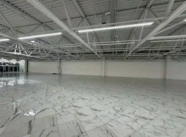 Торговая площадь в Санкт-Петербург Дунайский просп., 27к1 (800 м) - Фото 2