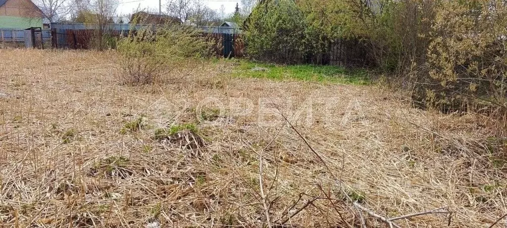 Участок в Тюменская область, Тюмень Малинка садовое товарищество, ул. ... - Фото 1