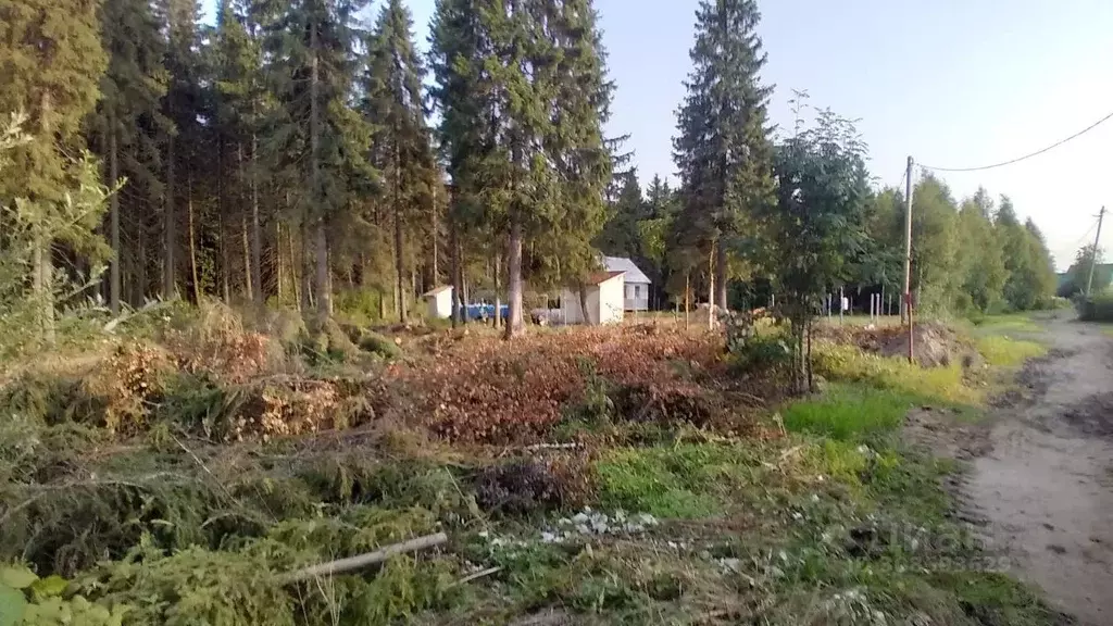 Участок в Коми, Сыктывкар городской округ, Краснозатонский пгт ул. ... - Фото 1