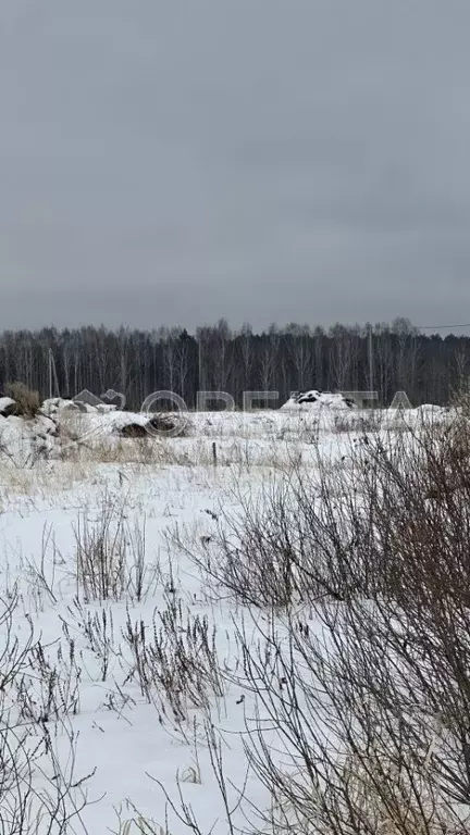 Участок в Свердловская область, Слободо-Туринский район, ... - Фото 1