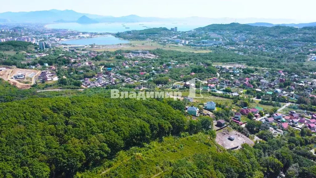 Участок в Приморский край, Находка Кедр кп, ул. Ольховая (14.75 сот.) - Фото 1