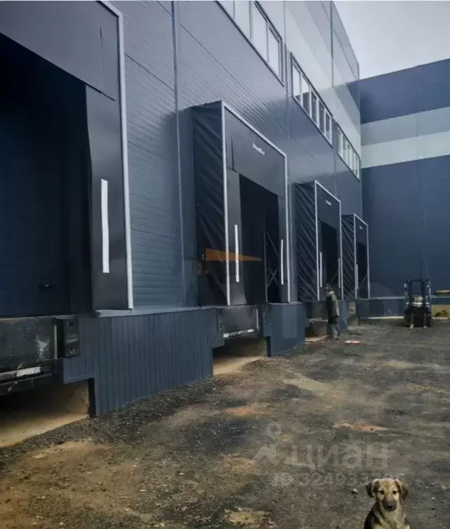 Склад в Московская область, Подольск городской округ, д. Стрелково 10 ... - Фото 1