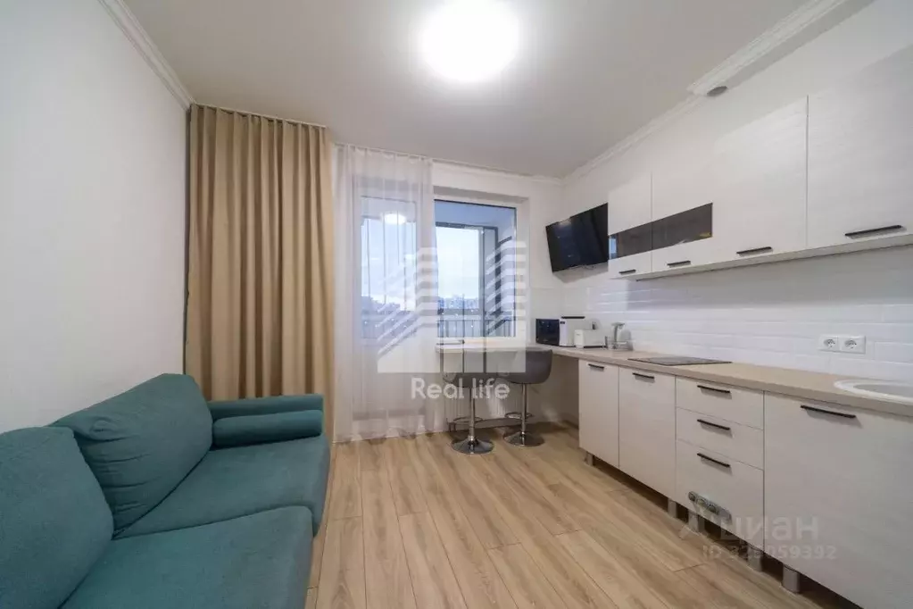 Студия Московская область, Домодедово городской округ, с. Домодедово ... - Фото 2