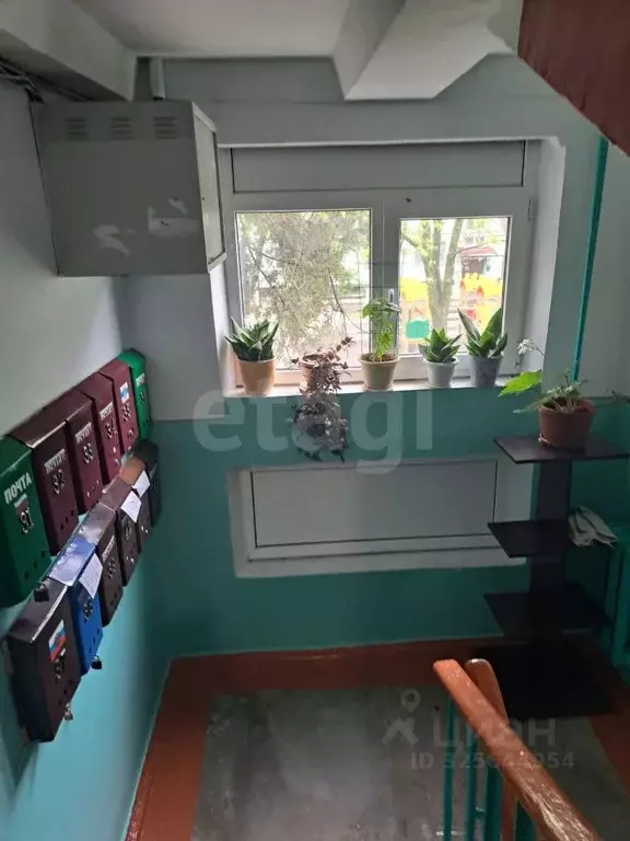 2-к кв. Краснодарский край, Лабинск ул. Турчанинова, 188 (49.1 м) - Фото 1