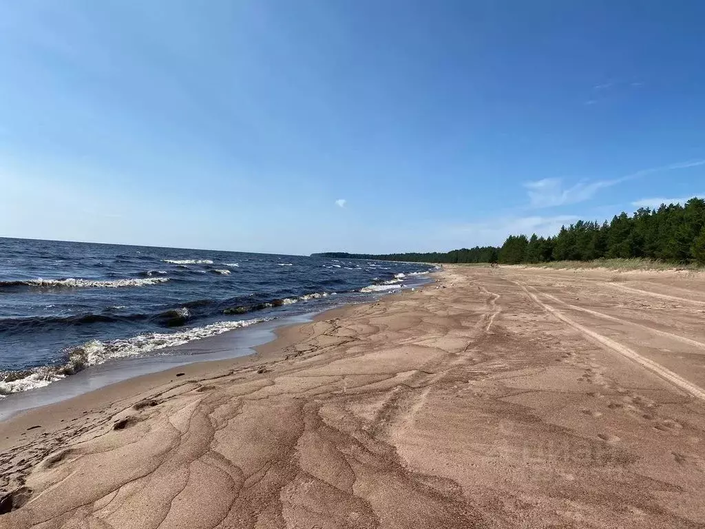 Дом в Карелия, Олонецкий район, Видлицкое с/пос, пос. Устье Видлицы ... - Фото 2