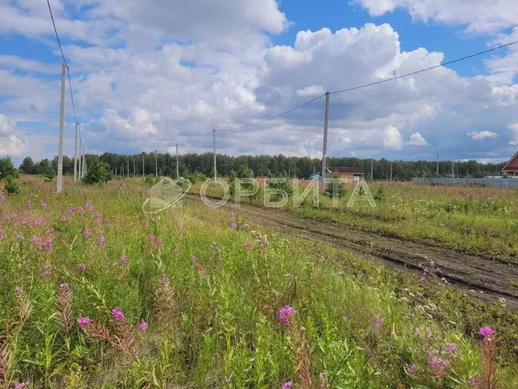 Участок в Тюменская область, Тюменский район, д. Елань  (7.0 сот.) - Фото 0