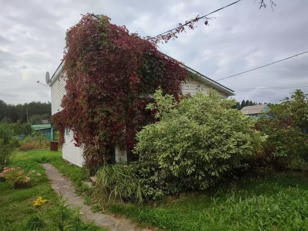 Дом в Ленинградская область, Приморск Ручеек СНТ,  (30 м) - Фото 2