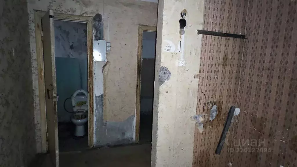 Помещение свободного назначения в Белгородская область, Старый Оскол ... - Фото 1