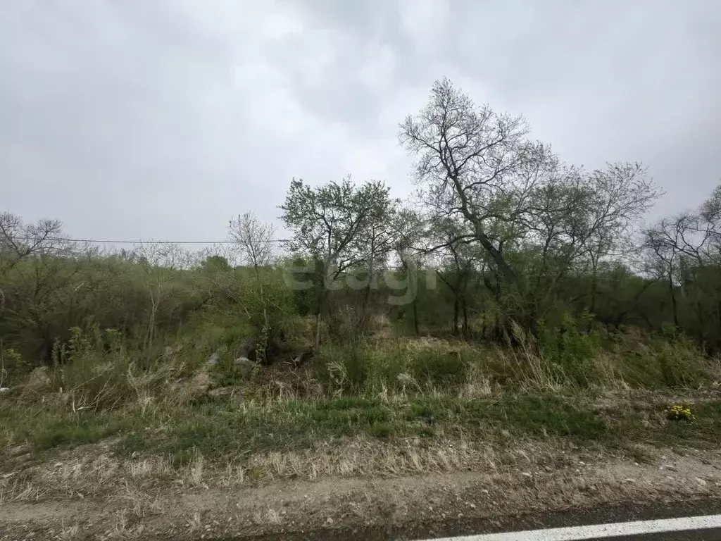 Участок в Амурская область, Благовещенск пос. Зазейский,  (15.0 сот.) - Фото 1