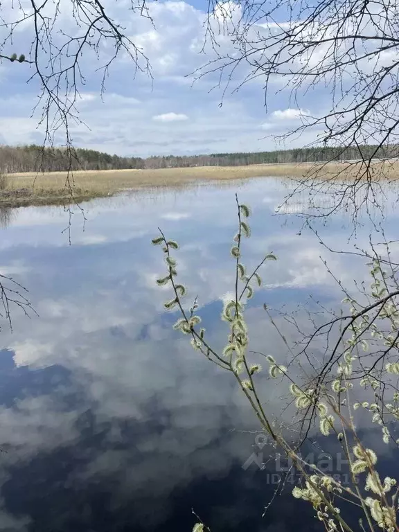 Участок в Ленинградская область, Выборгский район, Рощинское городское ... - Фото 0