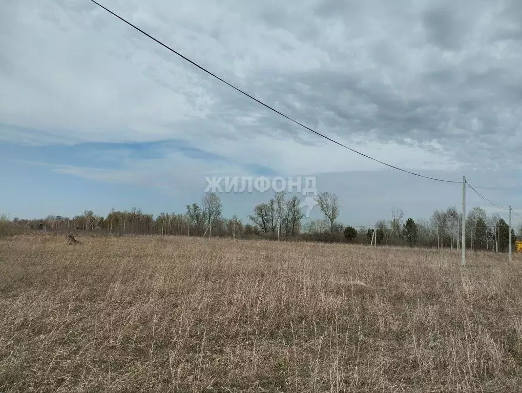 Участок в Новосибирская область, Колыванский район, Пять озер СНТ  ... - Фото 0