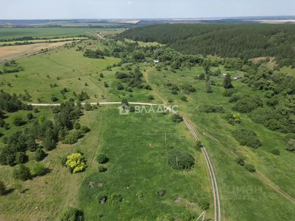 Участок в Пензенская область, Шемышейский район, д. Малыгино ул. ... - Фото 0