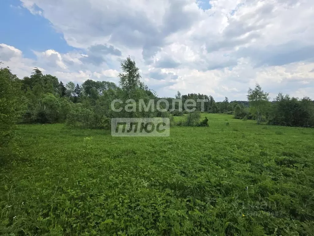 Участок в Московская область, Клин городской округ, д. Тиликтино  ... - Фото 1