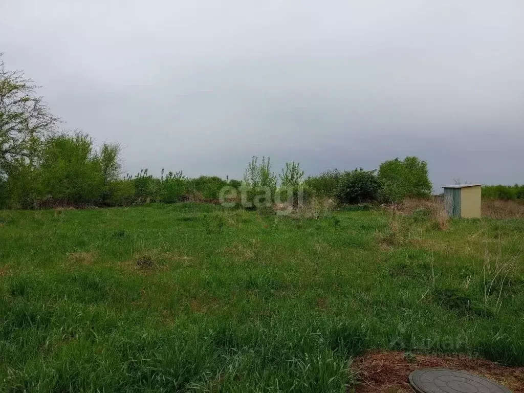 Участок в Воронежская область, с. Новая Усмань ул. Менделеева, 17 ... - Фото 0