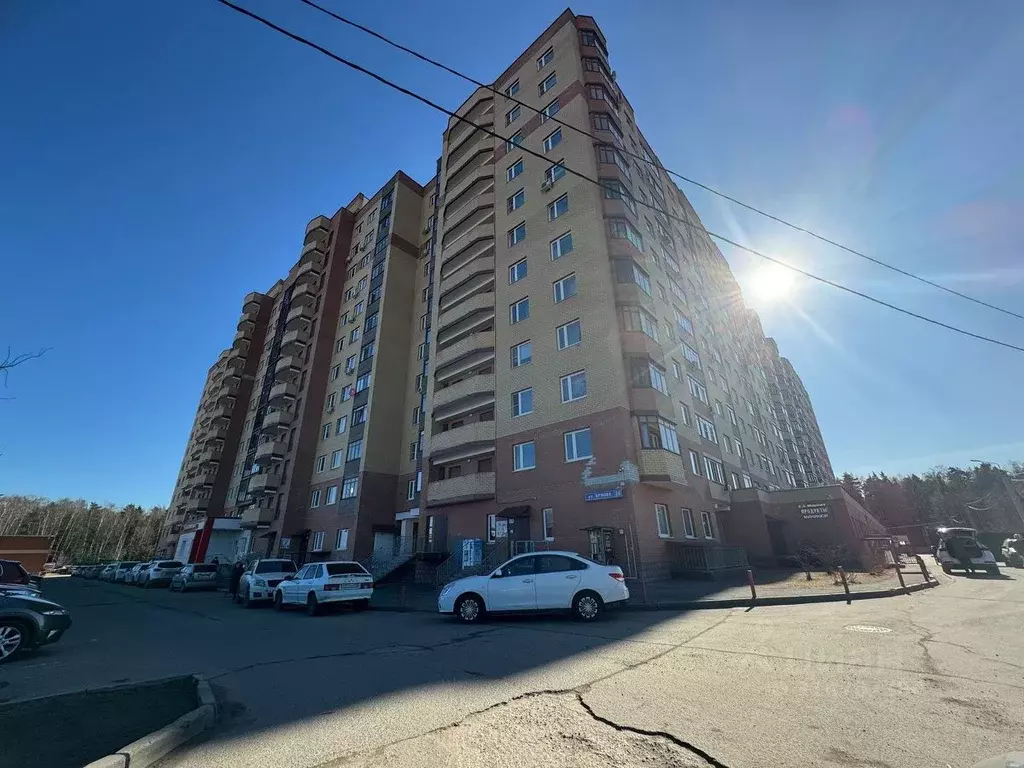 1-к кв. Московская область, Богородский городской округ, д. Щемилово ... - Фото 1