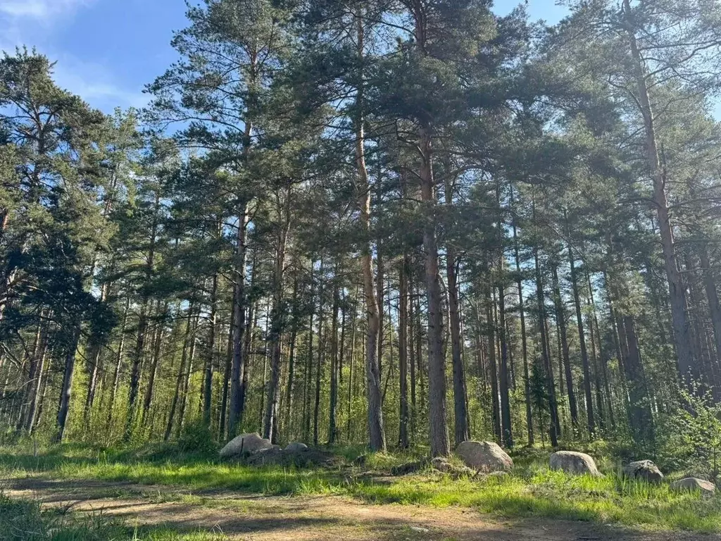 Участок в Ленинградская область, Выборгский район, Полянское с/пос, ... - Фото 1