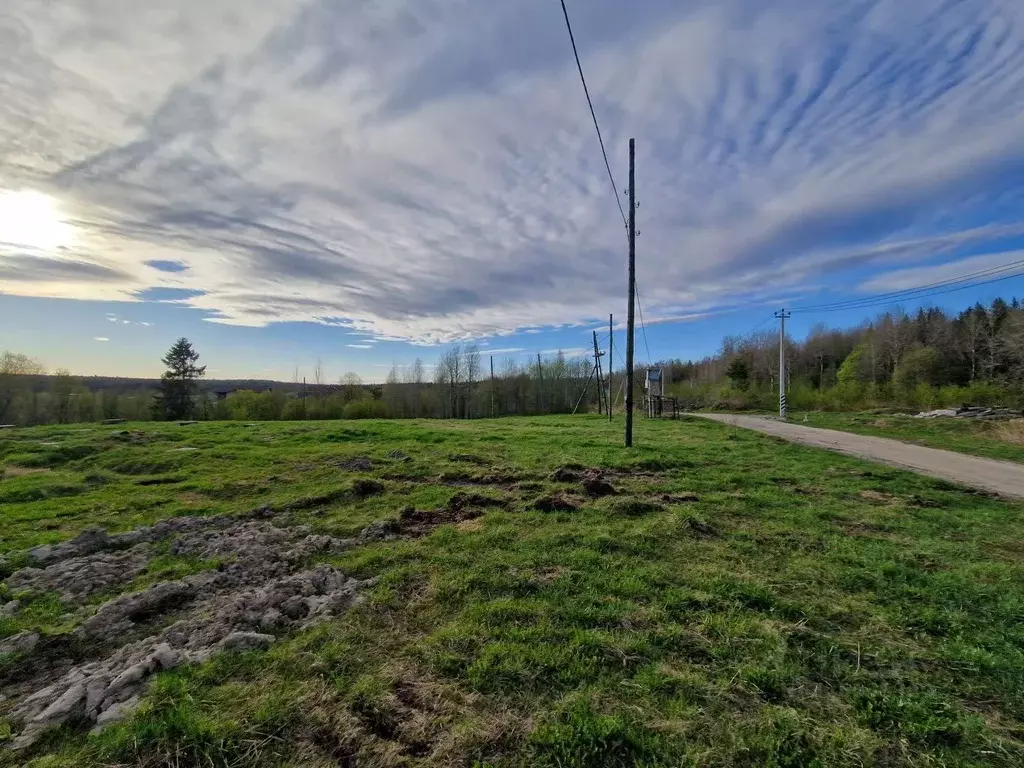 Участок в Карелия, Прионежский район, Деревянское с/пос, Урочище ... - Фото 2